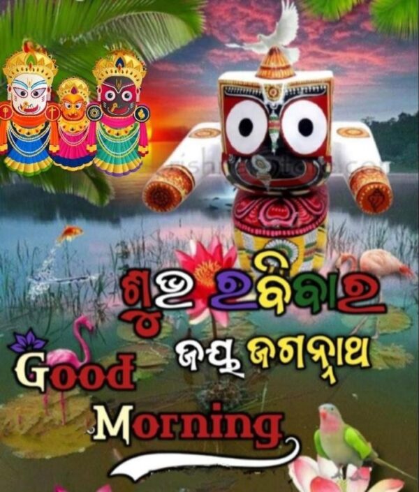 Amazing Jagannath Good Morning