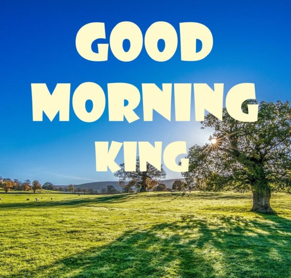 Amzaing Good Morning King Image