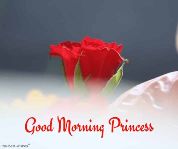 Awesome Good Morning Princess