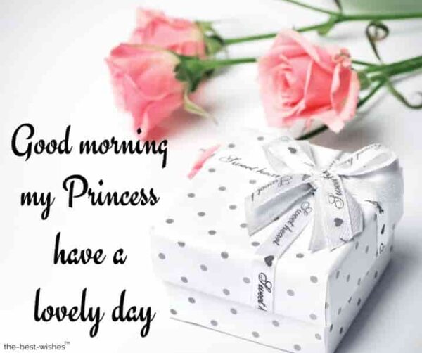 Awesome Good Morning Princess Image