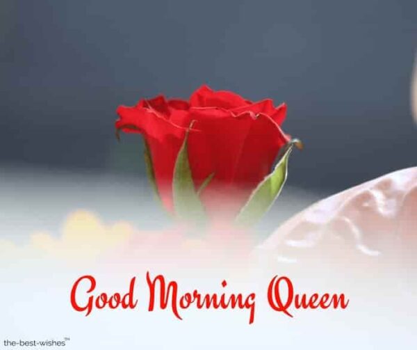 Awesome Good Morning Queen