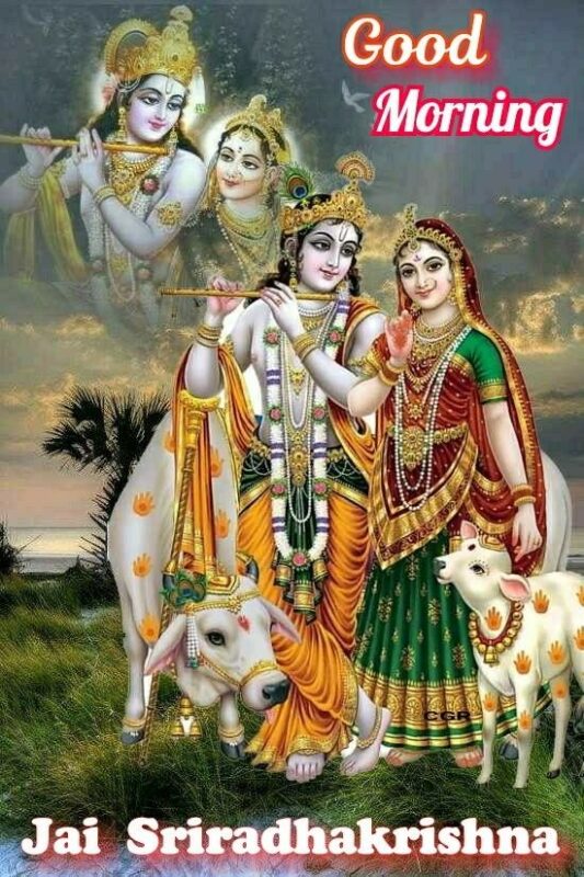 Beautiful Sri Radha Krishna Good Morning Photo