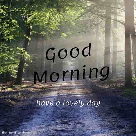 Best Good Morning Forest