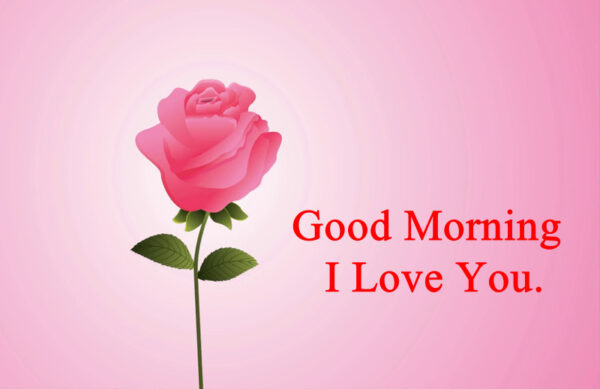 Best Good Morning I Love You Pic