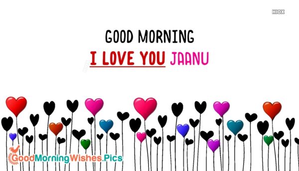 Best Good Morning Jaanu