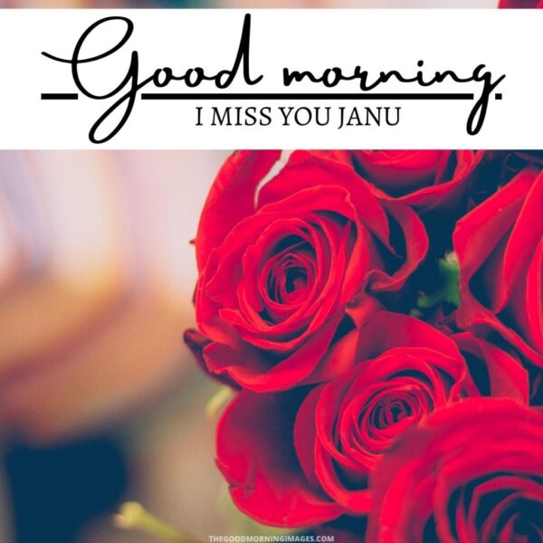 Best Good Morning Jaanu Photo