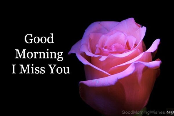 Best Good Morning Miss You
