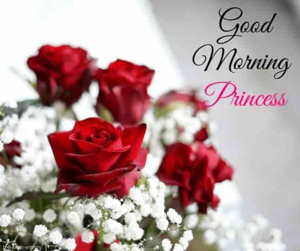 Best Good Morning Princess Pic