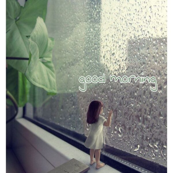 Best Rainy Good Morning Image
