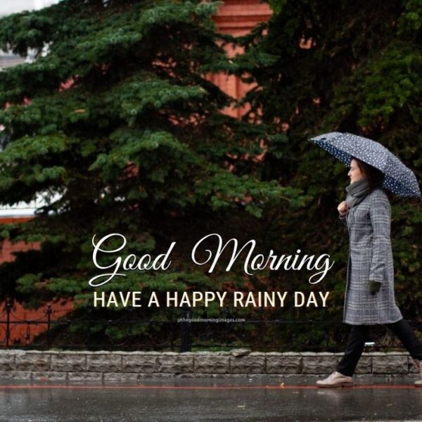 Best Rainy Good Morning Images