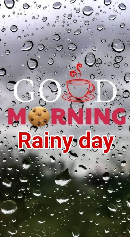 Best Rainy Good Morning Photo