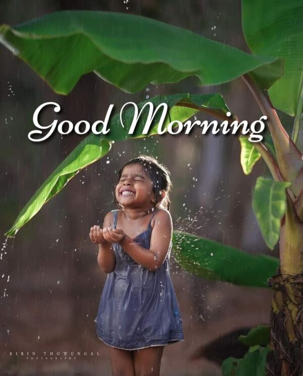 Best Rainy Good Morning Pics