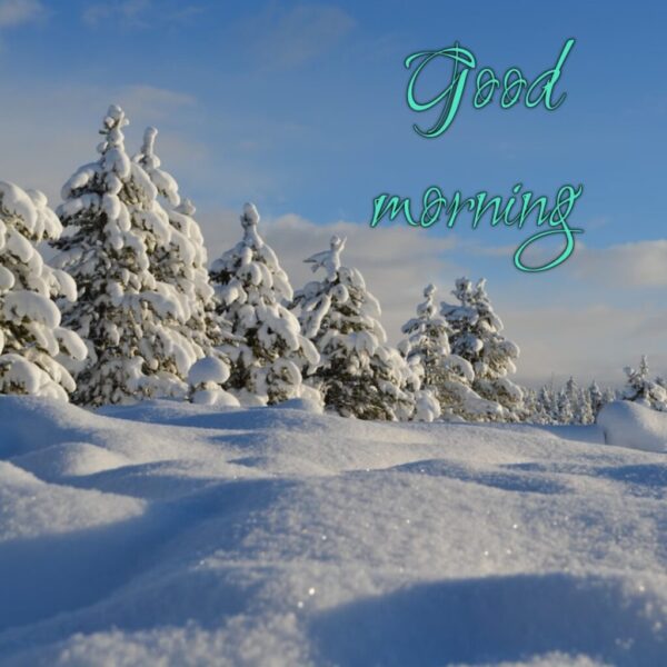 Cool Winter Good Morning Pic