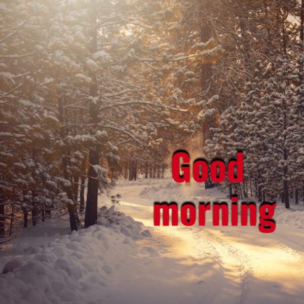 Cool Winter Good Morning Picture