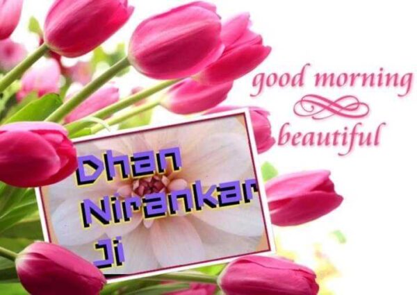 Dhan Nirankari Jii Good Morning Tulip Flower