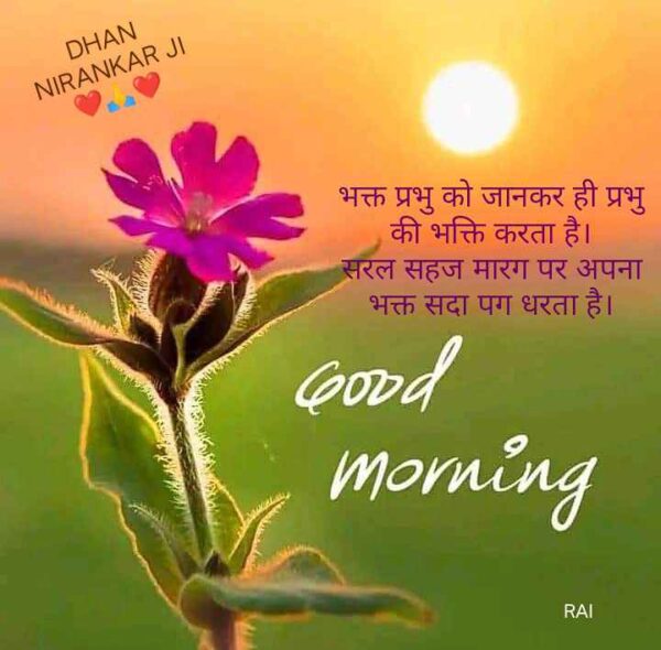 Dhan Nirankari Jii Morning Image Sun And Flower