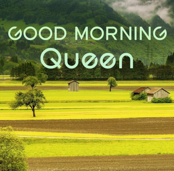 Fabalous Good Morning Queen Picture