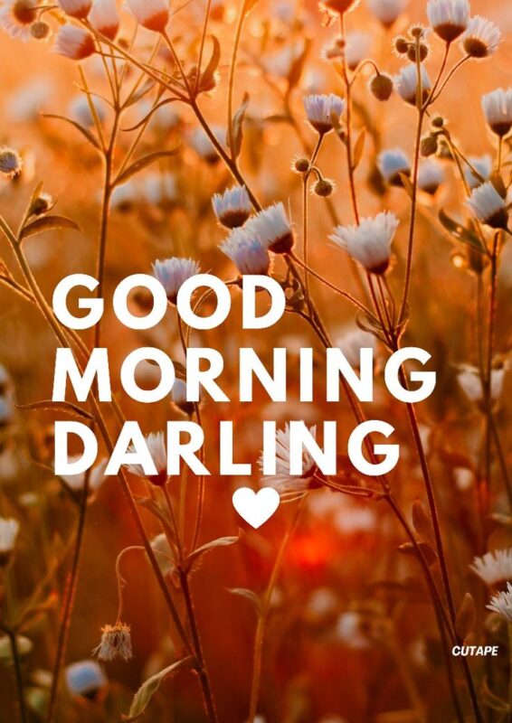 Fantastic Good Morning Darling Picture