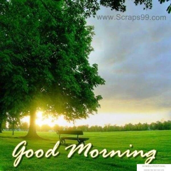 Fantastic Good Morning Green