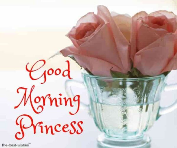 Fantastic Good Morning Princess