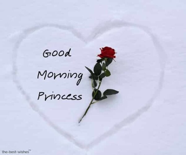 Fantastic Good Morning Princess Photo