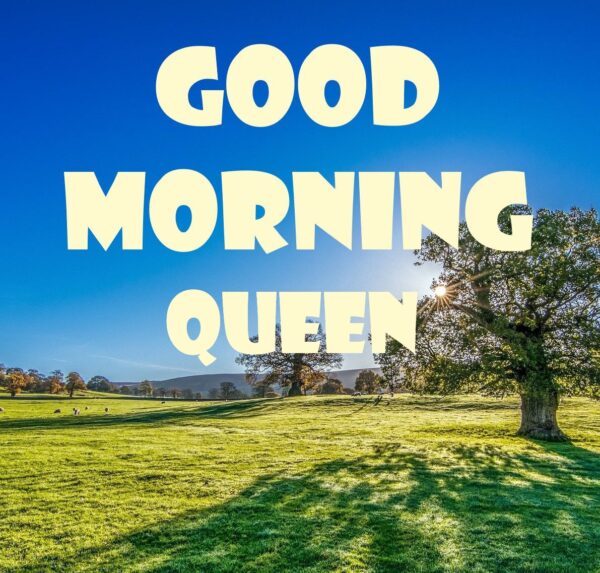 Fantastic Good Morning Queen Photo