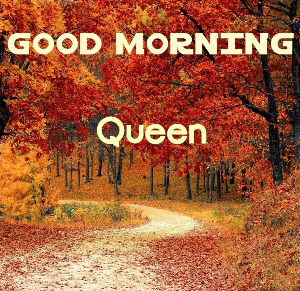 Fantastic Good Morning Queen Pic