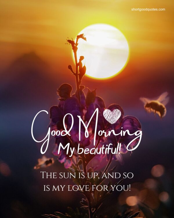 Fantastic Good Morning Romantic Photo