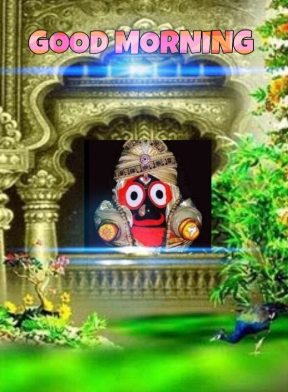 Good Morning Best Jagannath Pic