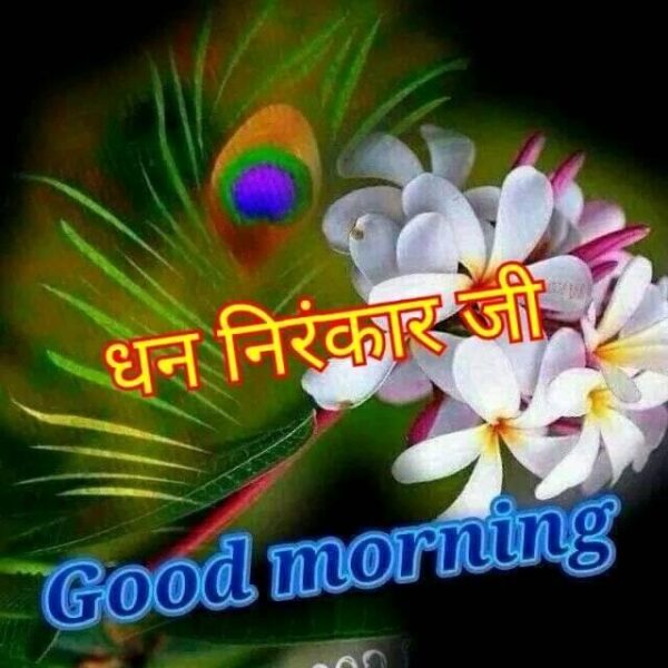 Good Morning Dhan Nirankari Ji Pic