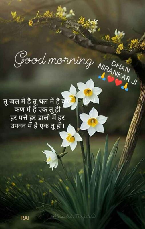 Good Morning Dhan Nirankari Ji Pics