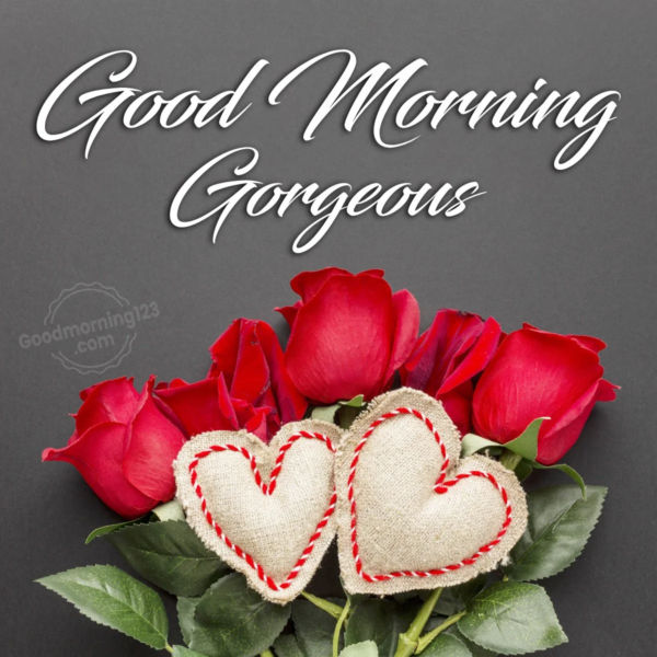 Good Morning Gorgeous Have A Great Day