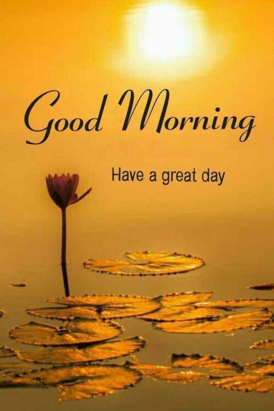 Good Morning Have A Great Day Status