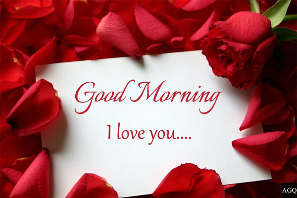 Good Morning I Love You Have A Nice Day Image