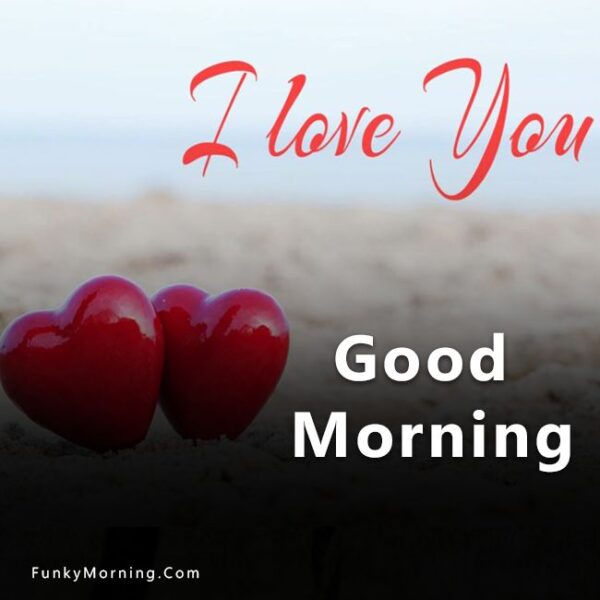 Good Morning I Love You Have A Wonderful Day Pic