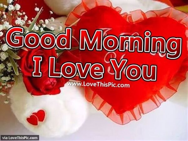 Good Morning I Love You Image