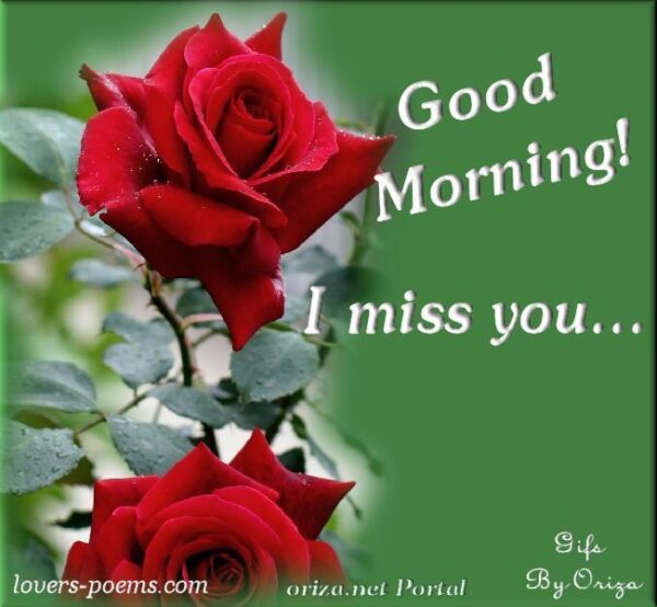 Good Morning I Miss You Image Have A Lovely Day