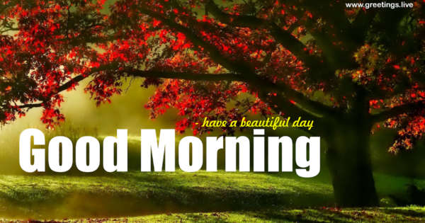 Good Morning Landscape Tree Greetings Image