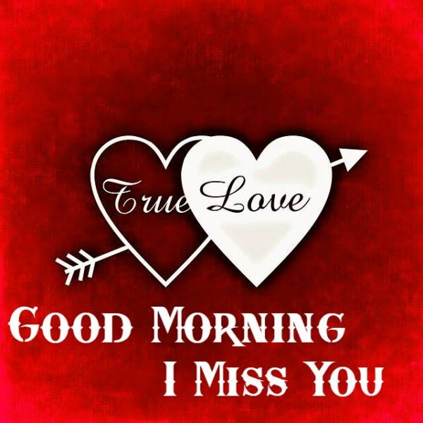 Good Morning Miss You Pic