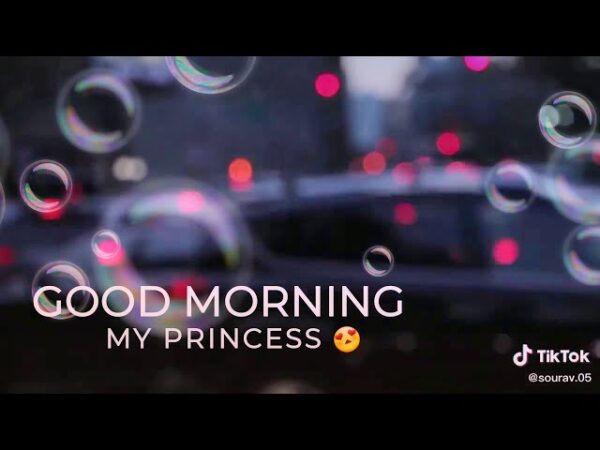 Good Morning Princess Have A Nice Day Pic