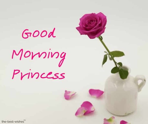 Good Morning Princess Pic