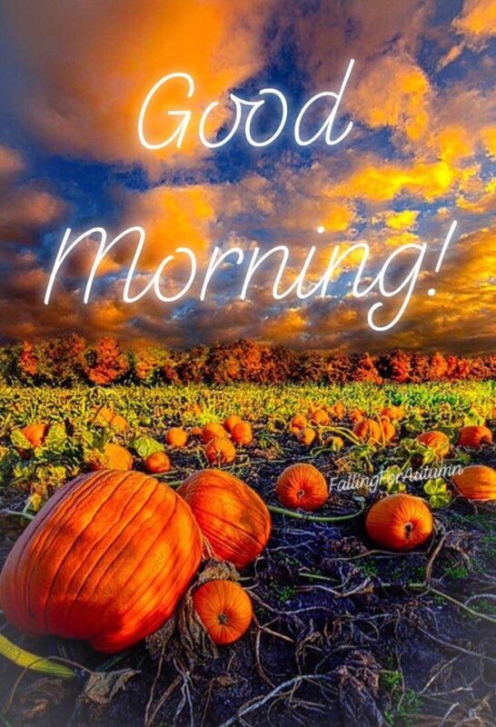 Good Morning Pumpkin Pic