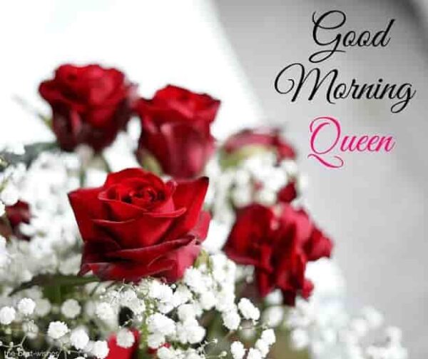 Good Morning Queen Image
