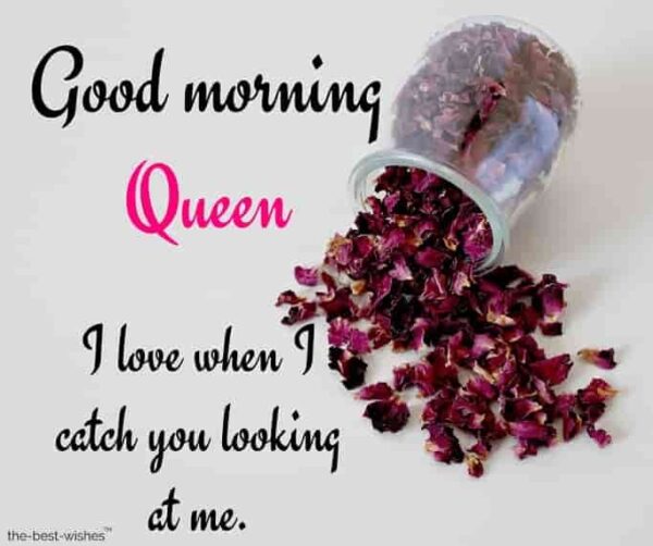 Good Morning Queen Picture