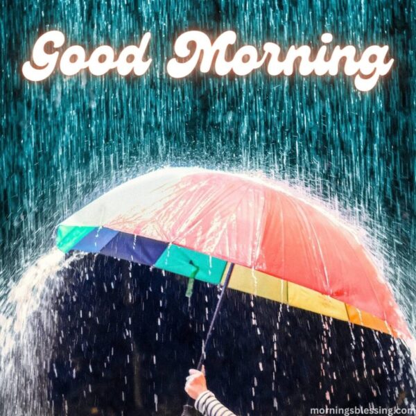 Good Morning Rain Image