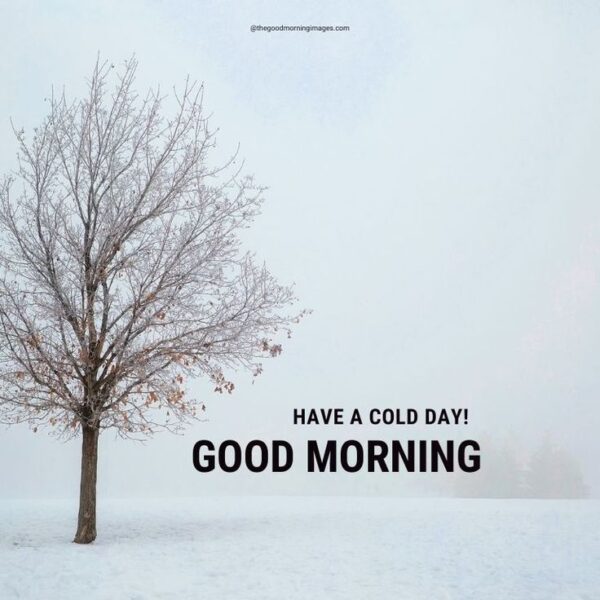Good Morning Winter Have A Cold Day