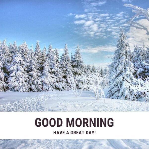 Good Morning Winter Have A Great Day