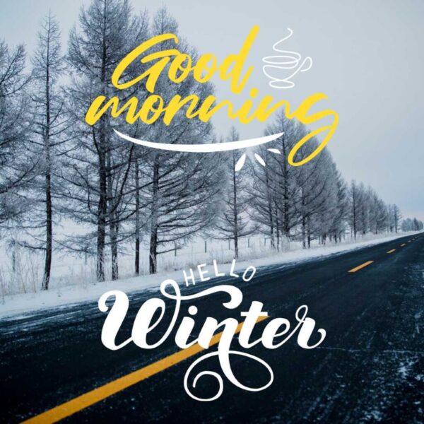 Good Morning Winter Hello Winter Photo