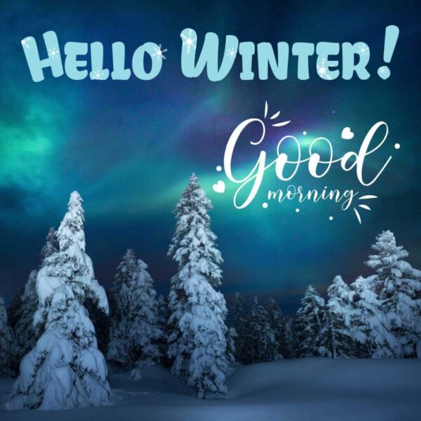 Good Morning Winter Hello Winter Pic