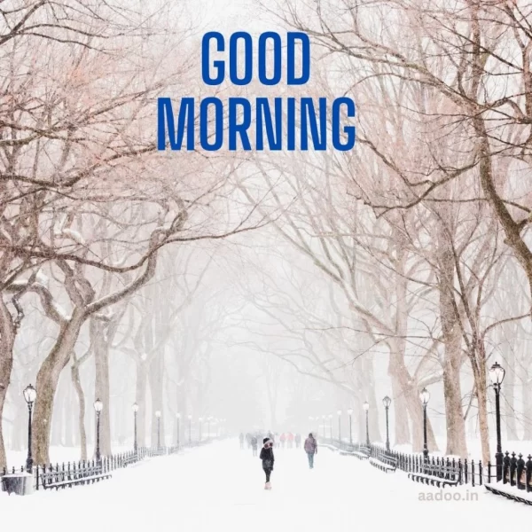 Good Morning Winter Images